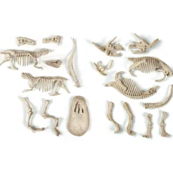 Clementoni Dinosaures|Archéo Ludic - T-Rex & Tricératops
