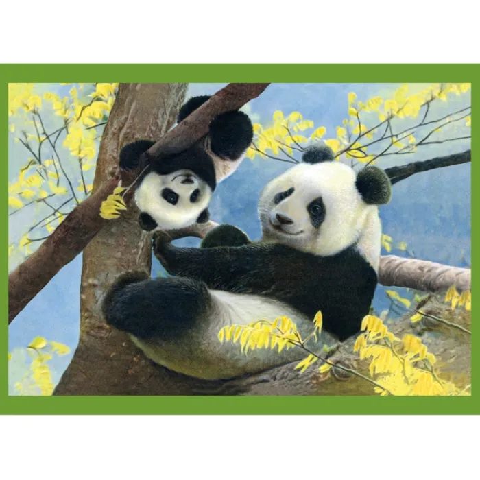 Clementoni Cartes|Animaux|Baby Cuddles - 1x12 + 1x16 + 1x20 + 1x24 pièces