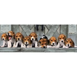 Clementoni Football|Vintage|Beagles - 1000 pièces
