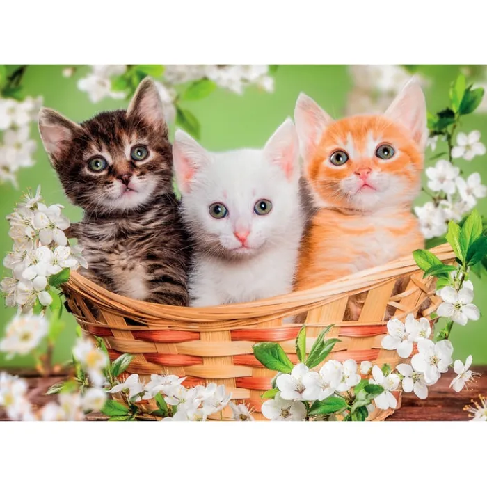 Clementoni Cartes|Animaux|Brothers In Fur - 60 pièces