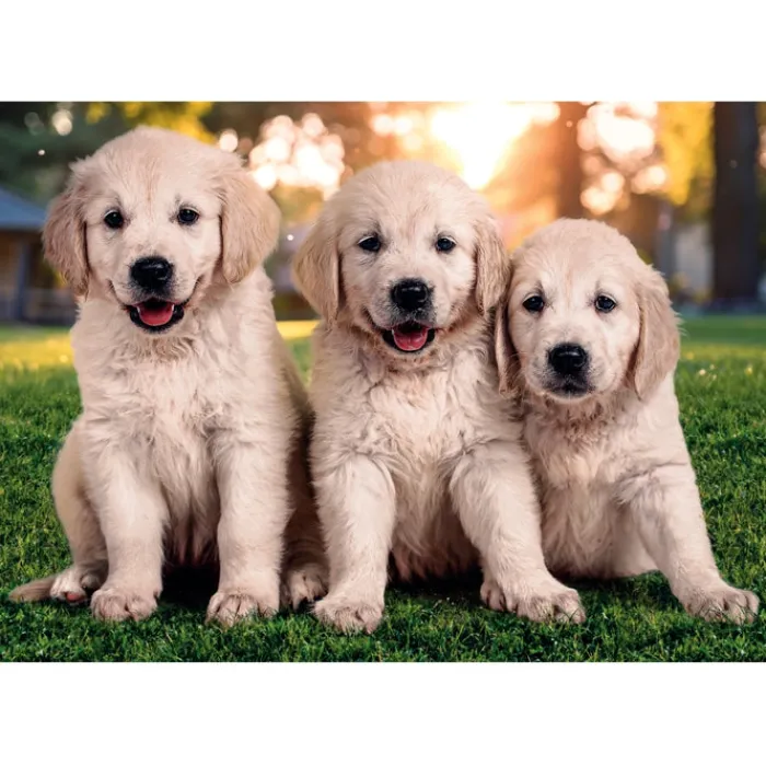 Clementoni Cartes|Animaux|Brothers In Fur - 60 pièces