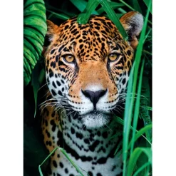 Clementoni Football|Vintage|Jaguar In The Jungle - 500 pièces