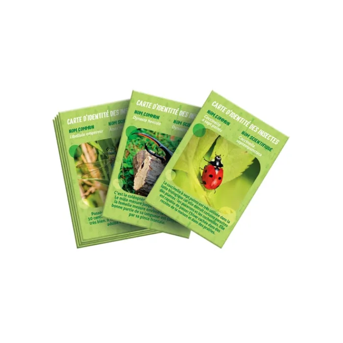 Clementoni Science Classique|La maison des insectes