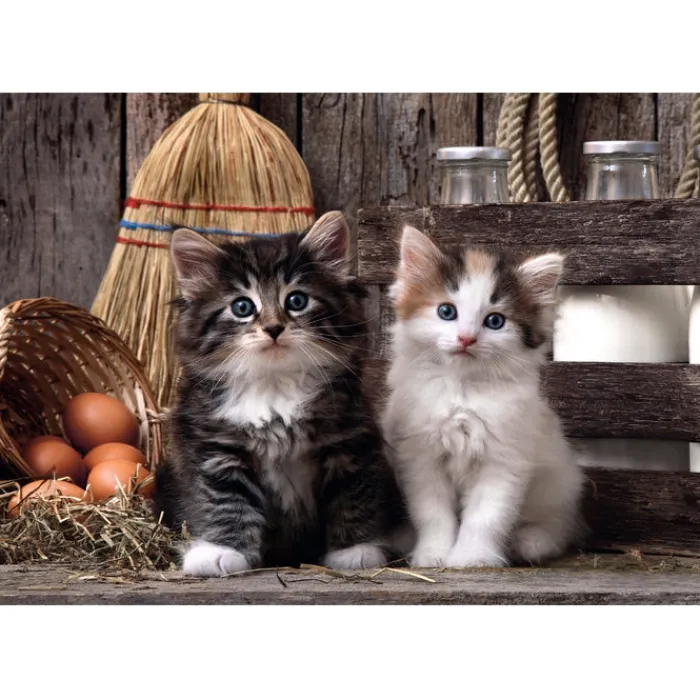 Clementoni Football|Vintage|Lovely Kittens - 1000 pièces