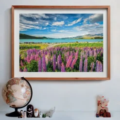 Clementoni Paysages|Football|Lupins At Lake Tekapo - 1500 pièces
