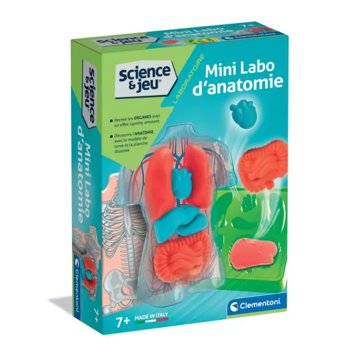 Clementoni Science Classique|Mini Labo d'anatomie
