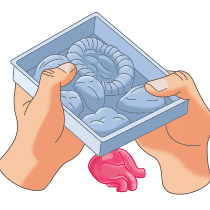 Clementoni Science Classique|Mini Labo d'anatomie