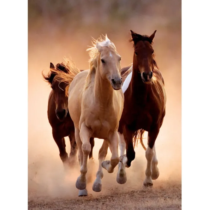 Clementoni Football|Vintage|Running Horses - 1000 pièces