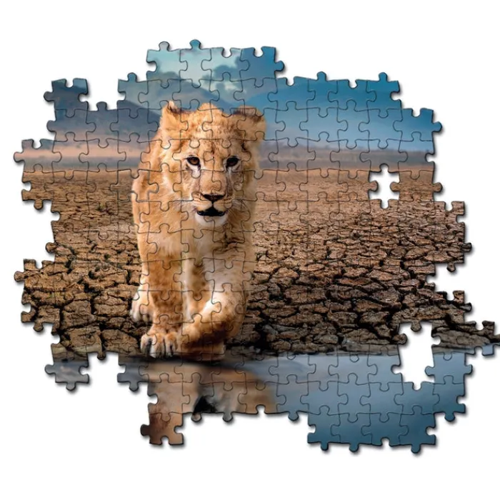 Clementoni Cartes|Animaux|Self Reflection - 300 pièces